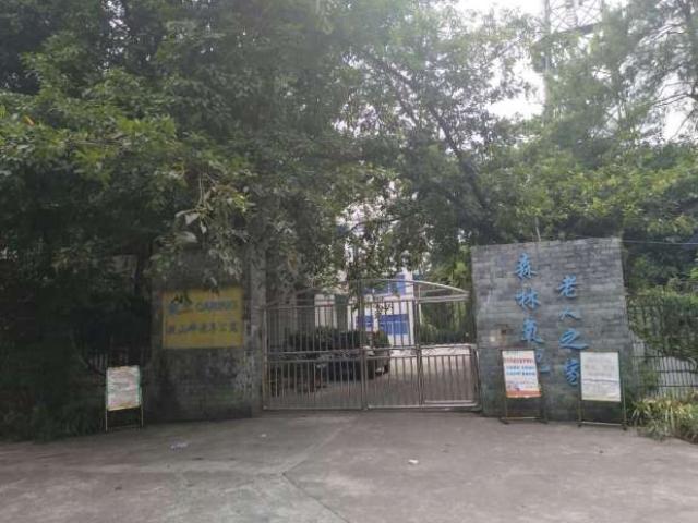 1575704729500046612.jpg 1575704729500046612.jpg