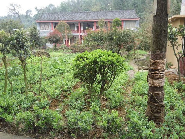 1576481166311094205.jpg 1576481166311094205.jpg