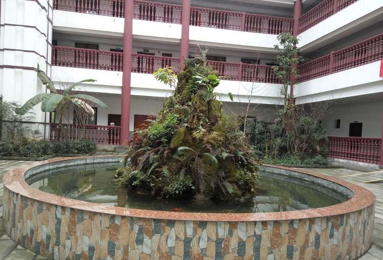 1576481187902053995.jpg 1576481187902053995.jpg