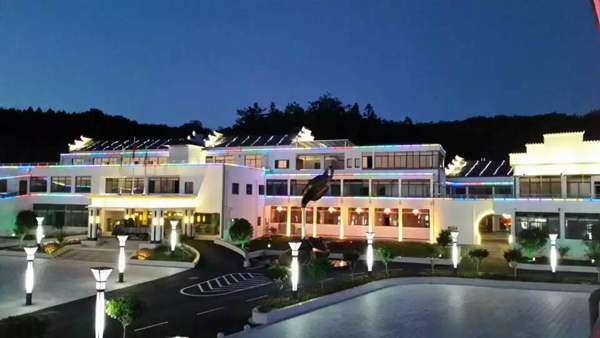 1577413973598005669.jpg 1577413973598005669.jpg