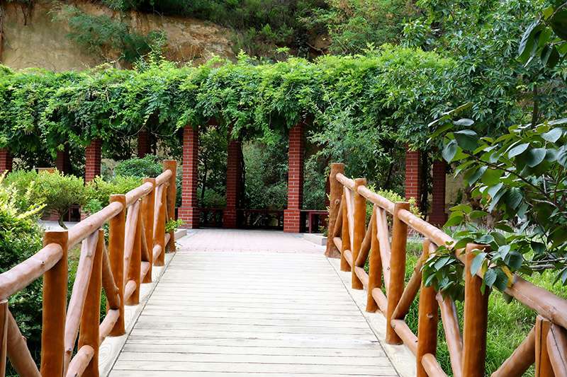 1578991992899086380.jpg 1578991992899086380.jpg