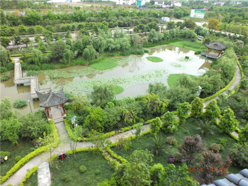 1579251740770039543.jpg 1579251740770039543.jpg