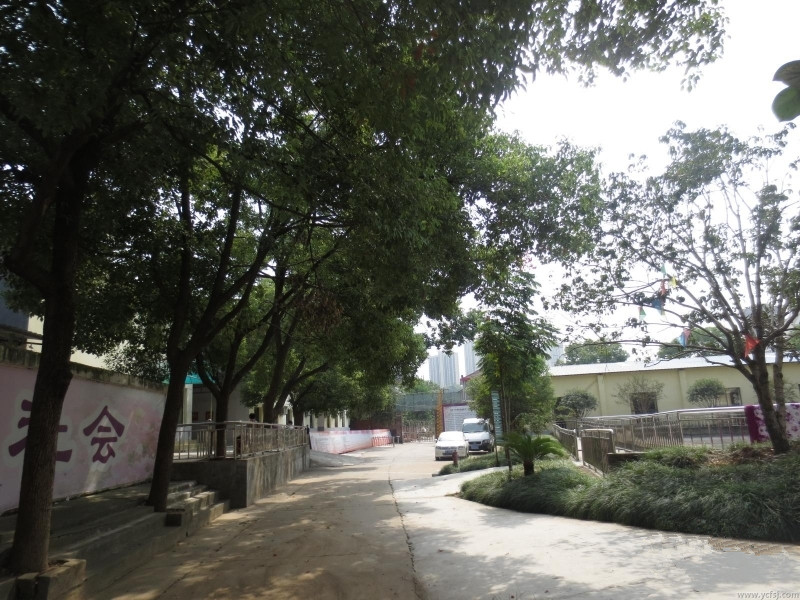 1579316291838055502.jpg 1579316291838055502.jpg