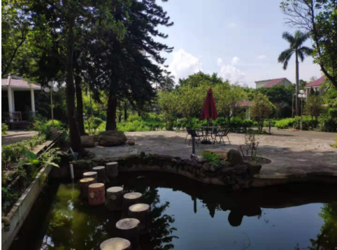 1579483398241025240.png QQ截圖20200120092243.png