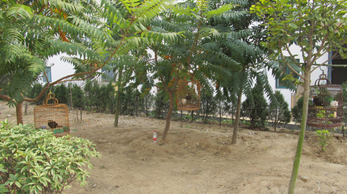 1581338618088018636.png 1581338618088018636.png