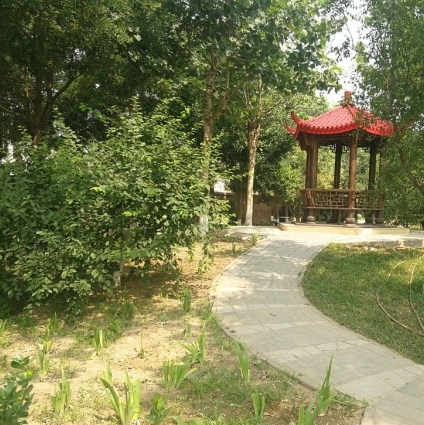 1581413903706067118.png 微信截圖_20200211173706.png