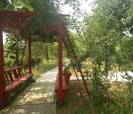 1581413917787088487.png 微信截圖_20200211173725.png