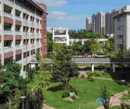 1582258215788054018.png 3.png