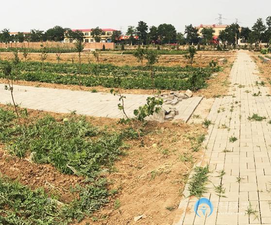 1582611771579071625.jpg 1582611771579071625.jpg