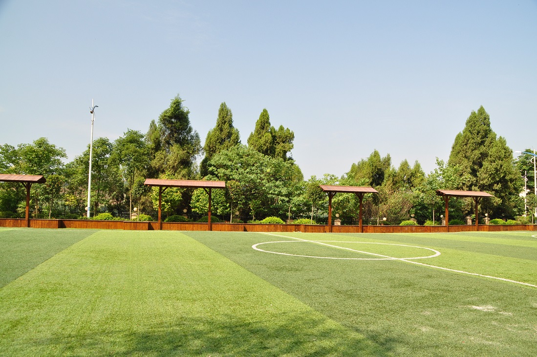 1582875921199098800.jpg 1582875921199098800.jpg