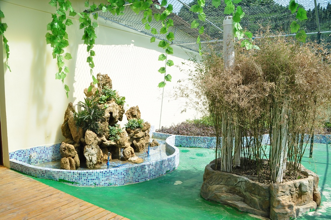 1582875973245067054.jpg 1582875973245067054.jpg