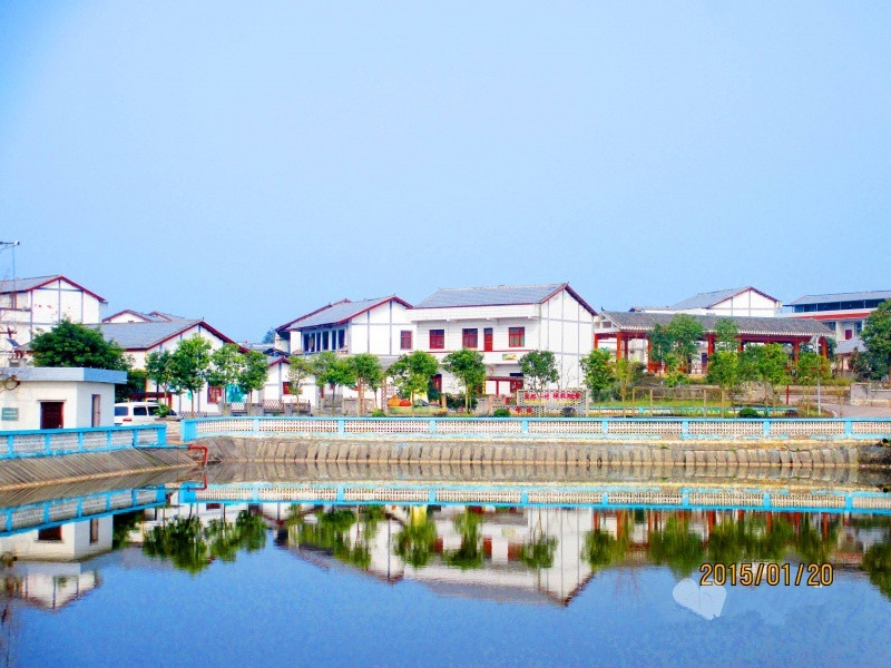 1582877923568079664.jpg 1582877923568079664.jpg