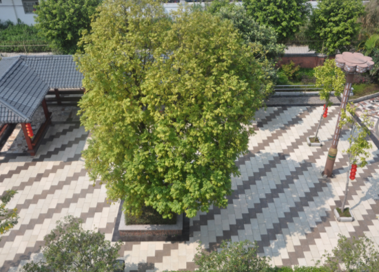 1583160867319097531.png QQ截圖20200302225130.png