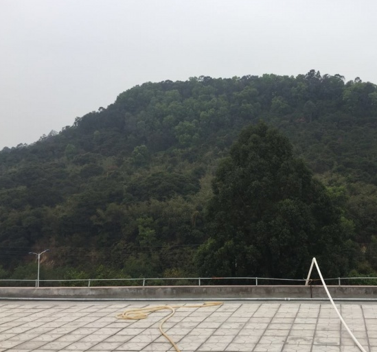 1583395002638069952.png QQ截圖20200305155247.png