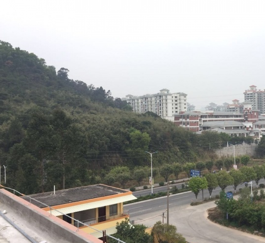 1583395009381075768.png QQ截圖20200305155256.png