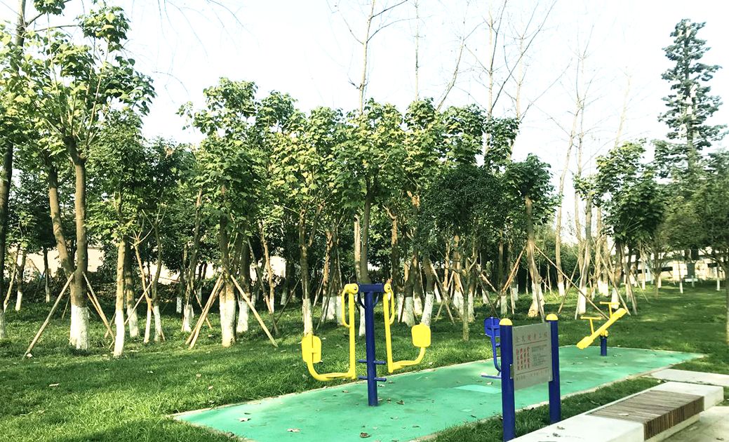 1583663453178095884.jpg 1583663453178095884.jpg