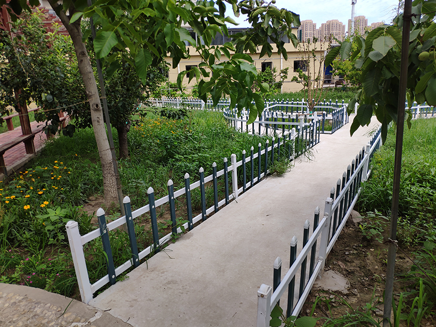 1583834737341009869.jpg 1583834737341009869.jpg