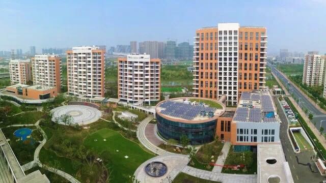 1583919247348035821.jpg 1583919247348035821.jpg