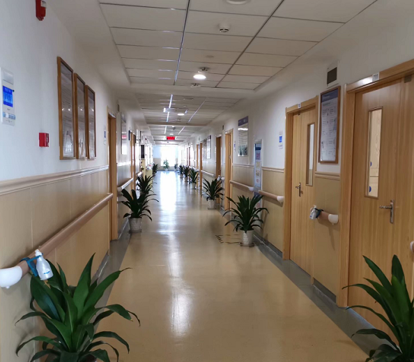 1585031049764031611.png 4.png