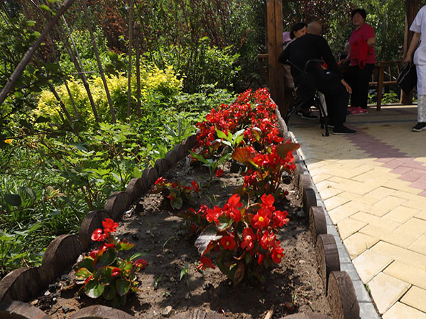 1585207233911086353.jpg 1585207233911086353.jpg