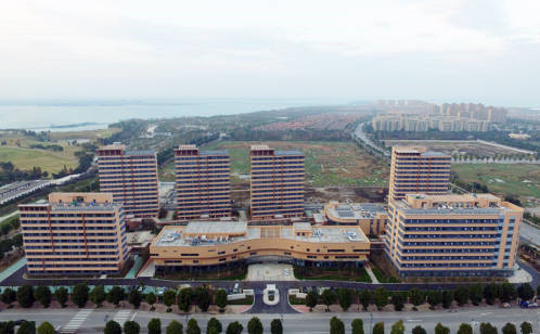 1585276647773042549.jpg 1585276647773042549.jpg