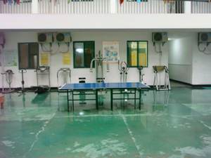 1585299257711069203.jpg 1585299257711069203.jpg