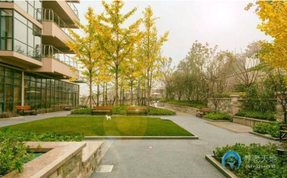 1585299404188072542.png QQ截圖20200327165142.png