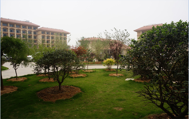 1585732857636089513.jpg 1585732857636089513.jpg