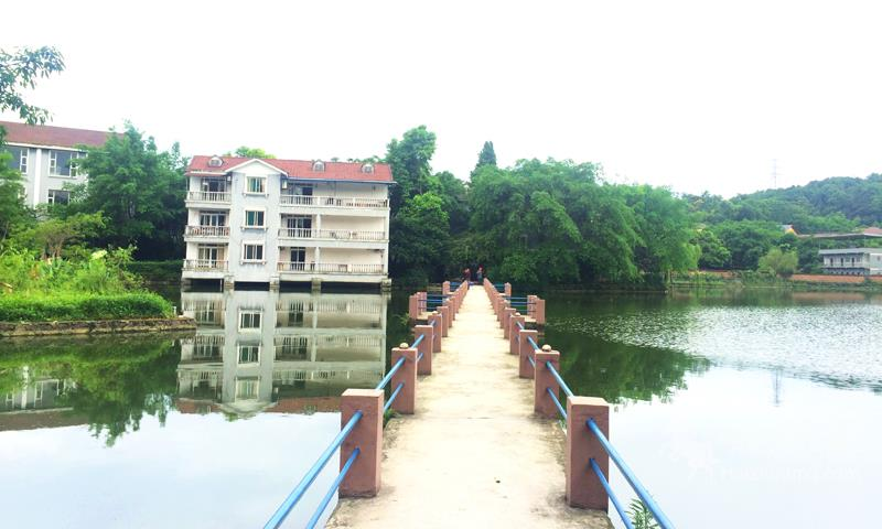 1586226853455047366.jpg 1586226853455047366.jpg