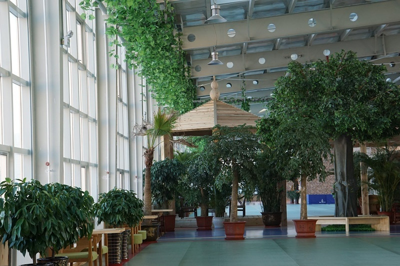 1586680100606088213.jpg 1586680100606088213.jpg