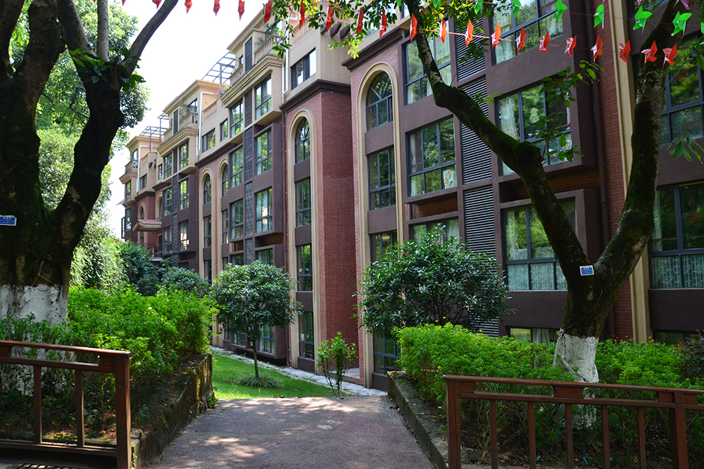 1586853945394029163.jpg 1586853945394029163.jpg