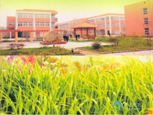 1587026245747043070.jpg 1587026245747043070.jpg