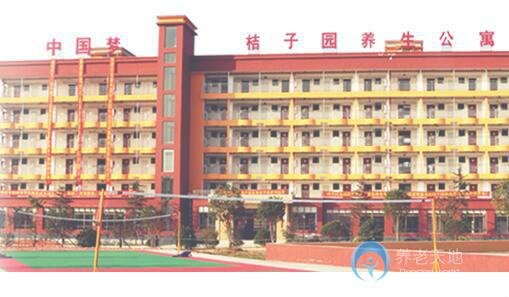 1587088033431069122.jpg 1587088033431069122.jpg