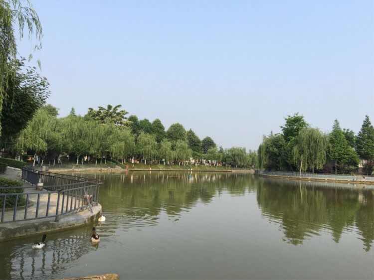 1587520329278074683.jpg 1587520329278074683.jpg