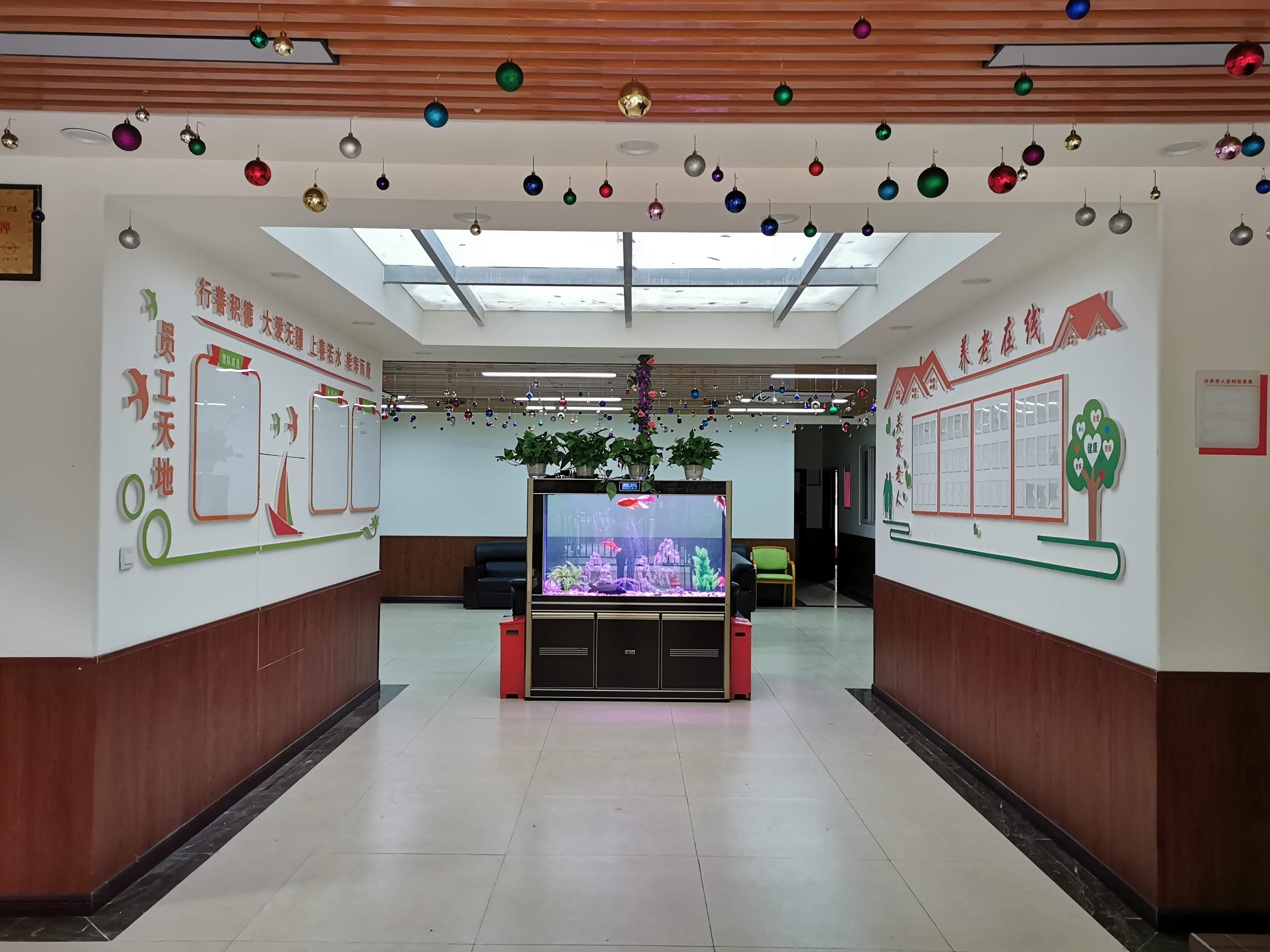 1587539291752071062.jpg 1587539291752071062.jpg