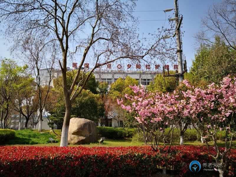 1588478093277078509.jpg 1588478093277078509.jpg