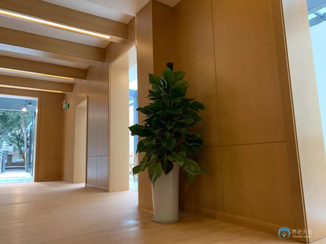 1591778842186022618.jpg 1591778842186022618.jpg