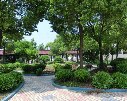 1597635657529061349.png 5.png