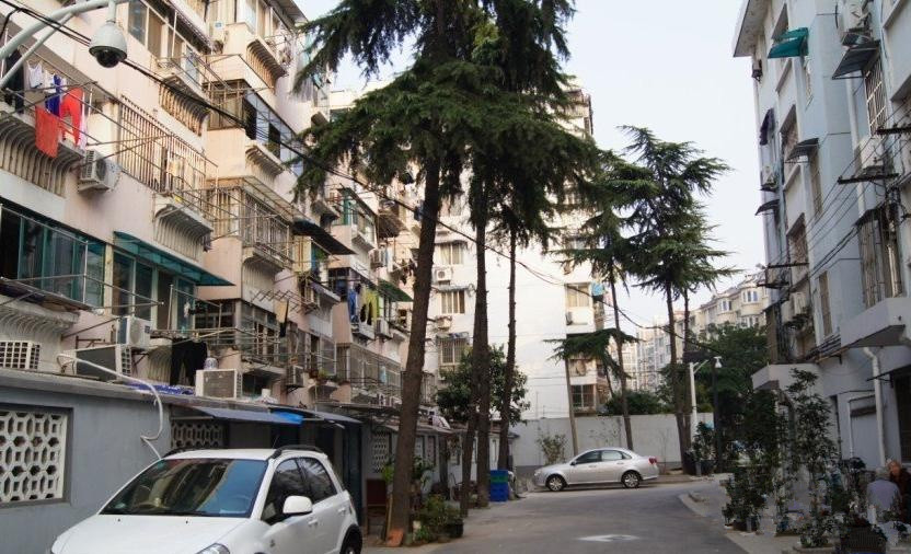 1598519834395066815.jpg 1598519834395066815.jpg