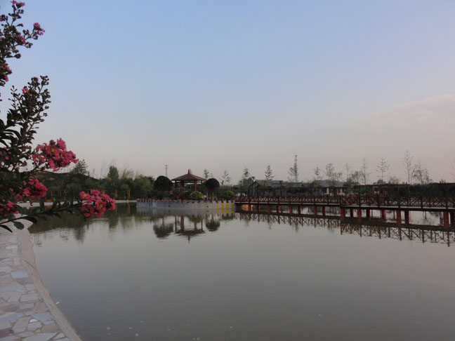 1598603145329027644.jpg 1598603145329027644.jpg