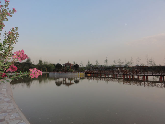 1598603198106085246.jpg 1598603198106085246.jpg