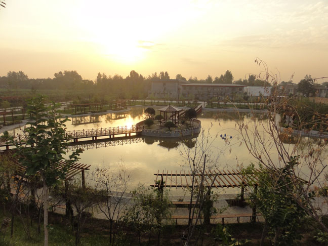 1598603220127022532.jpg 1598603220127022532.jpg