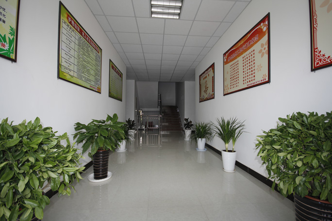 1598603255512014416.jpg 1598603255512014416.jpg