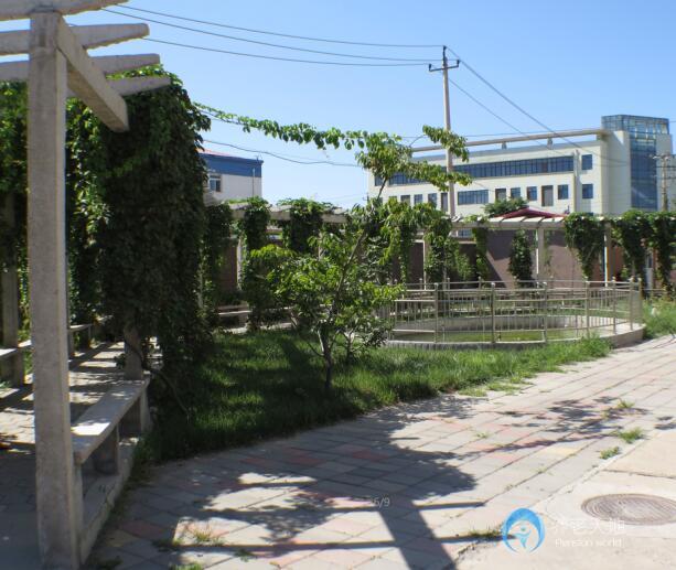 1599728118081094033.jpg 1599728118081094033.jpg