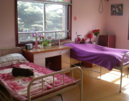 1604629599056001886.png 上海白金養(yǎng)老院2.png