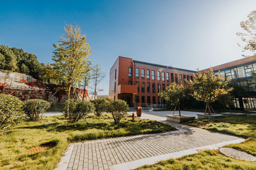 1605148681120050498.jpg 1605148681120050498.jpg