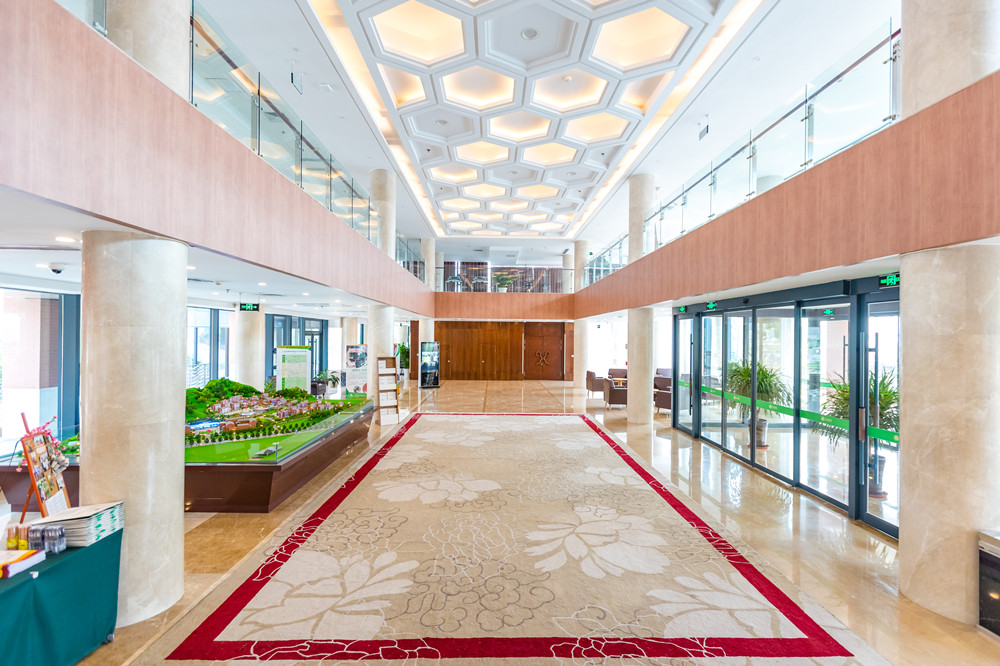 1605148723614029728.jpg 1605148723614029728.jpg