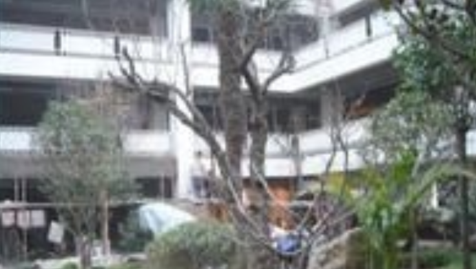 1605678478989000643.png image.png