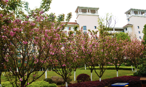 1606358815636031322.png ~E04T_1C{S5TVUD096H2(TV.png