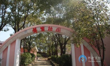 1606460628874039979.png image.png